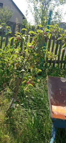 Działka budowlana Golasowice, ul. Cz. Miłosza. Zdjęcie 1