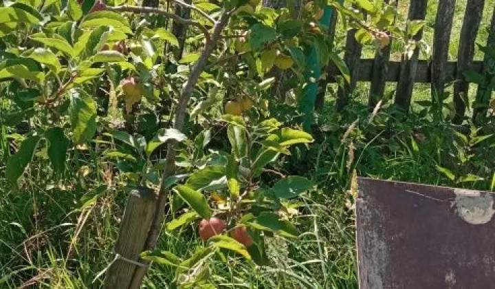 Działka budowlana Golasowice, ul. Cz. Miłosza