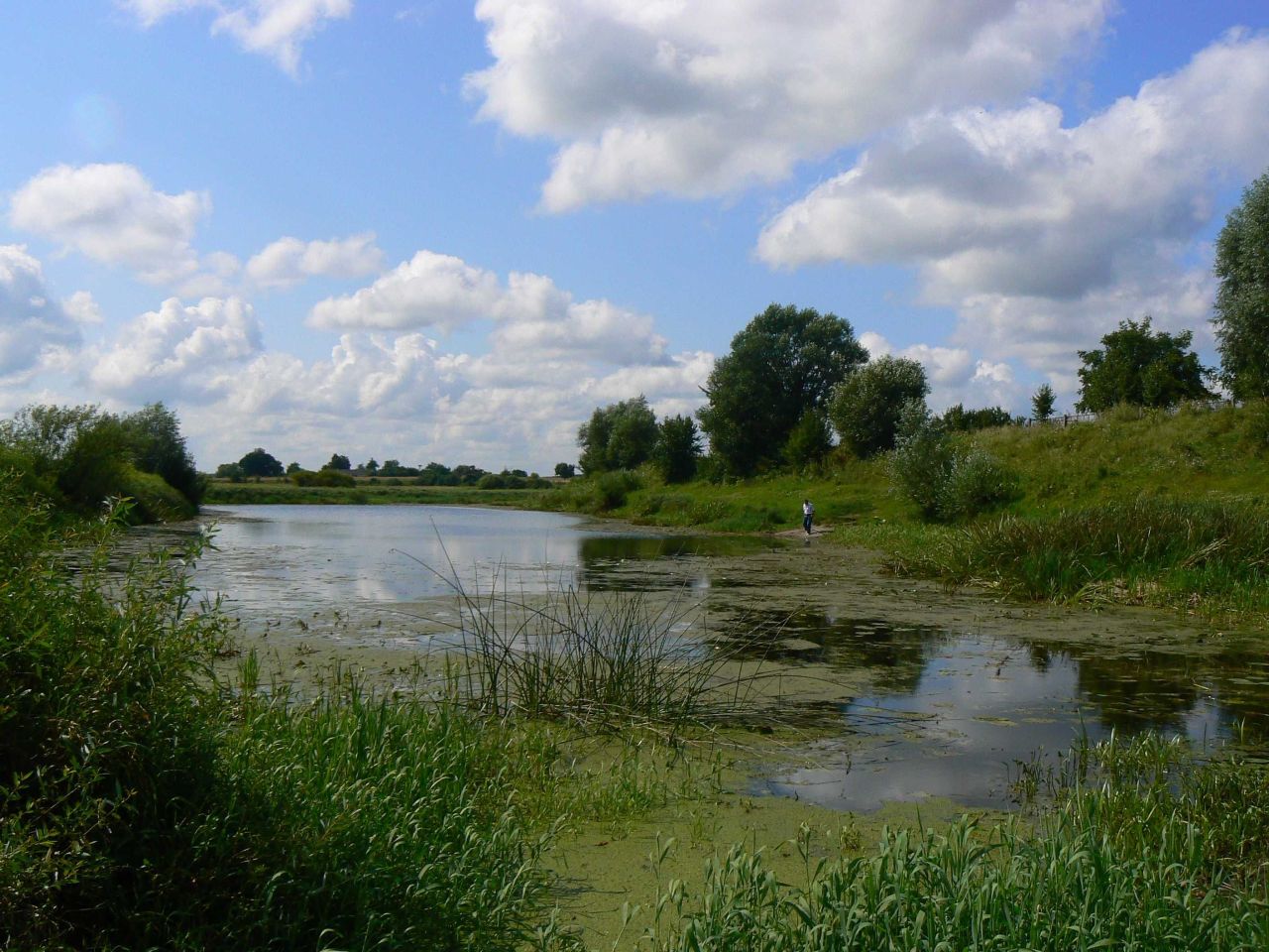 Działka budowlana Dorohusk, ul. Kościelna. Zdjęcie 3