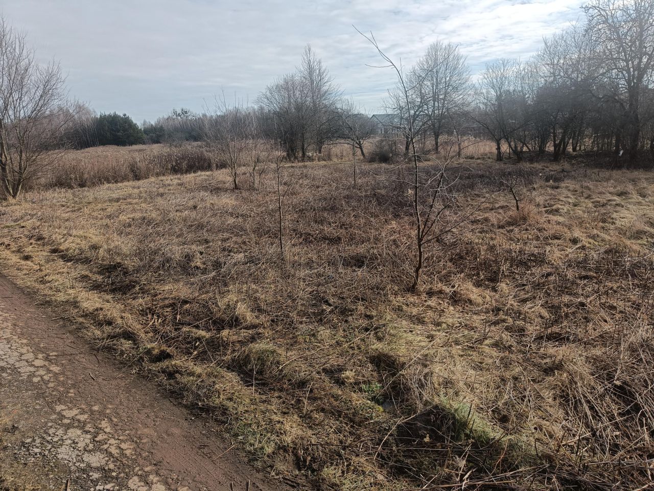 Działka budowlana Sieraków, ul. Henryka Sienkiewicza. Zdjęcie 4