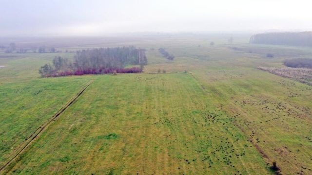 Działka rolna Siedliska. Zdjęcie 8