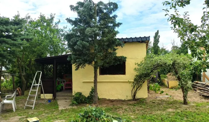 Działka rod Stargard, ul. Klonowa