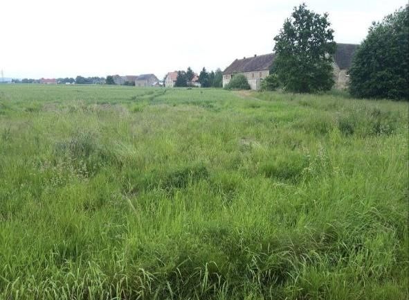 Działka budowlana Chmielno. Zdjęcie 2