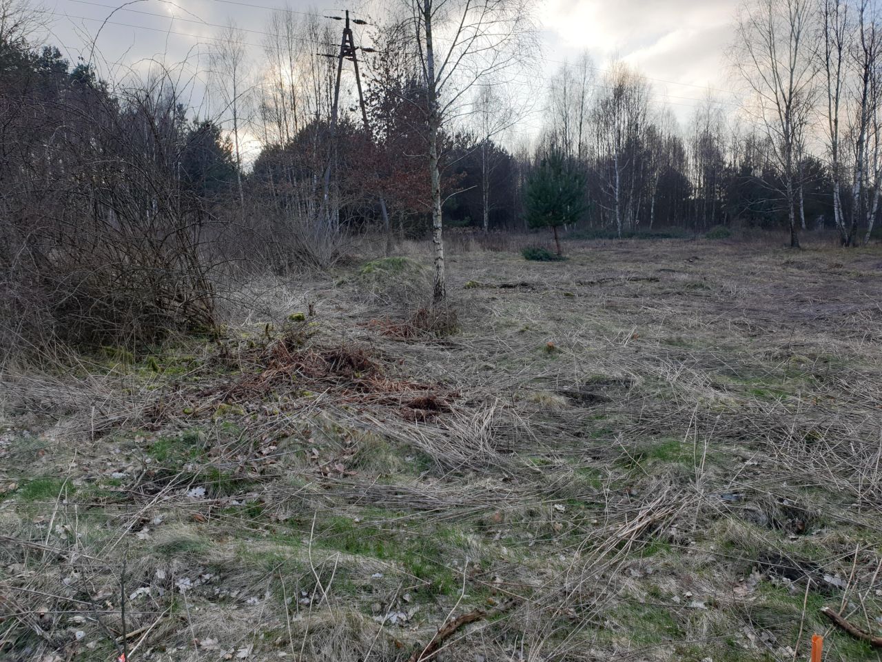 Działka budowlana Byszewy. Zdjęcie 3