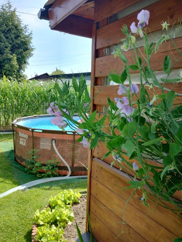 Działka rod Jastrzębie-Zdrój, ul. Rotmistrza Pileckiego. Zdjęcie 4