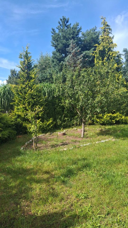 Działka rod Rumia, ul. Kazimierska. Zdjęcie 8