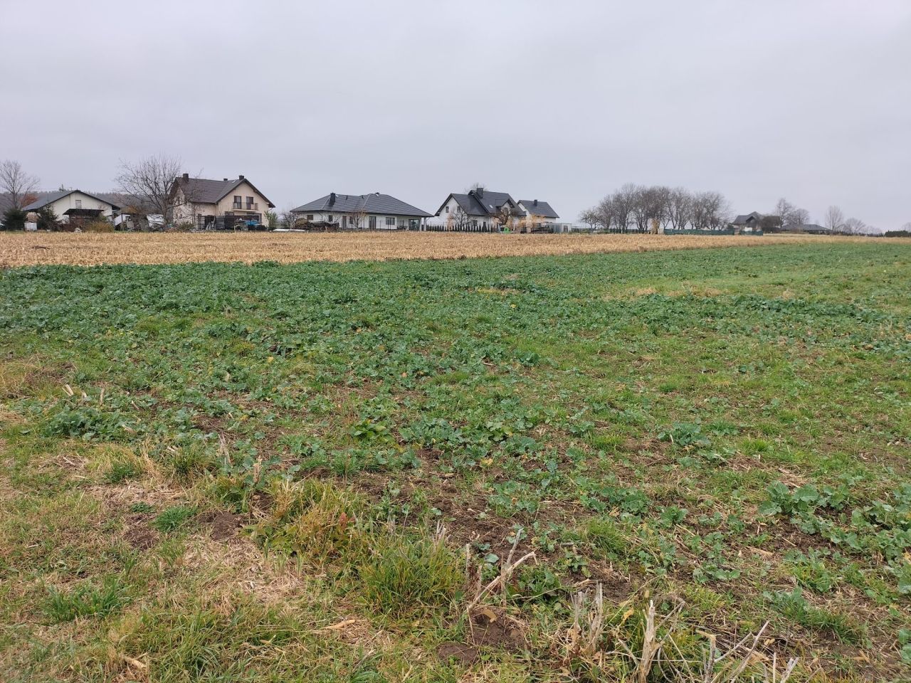 Działka budowlana Morawsko. Zdjęcie 5