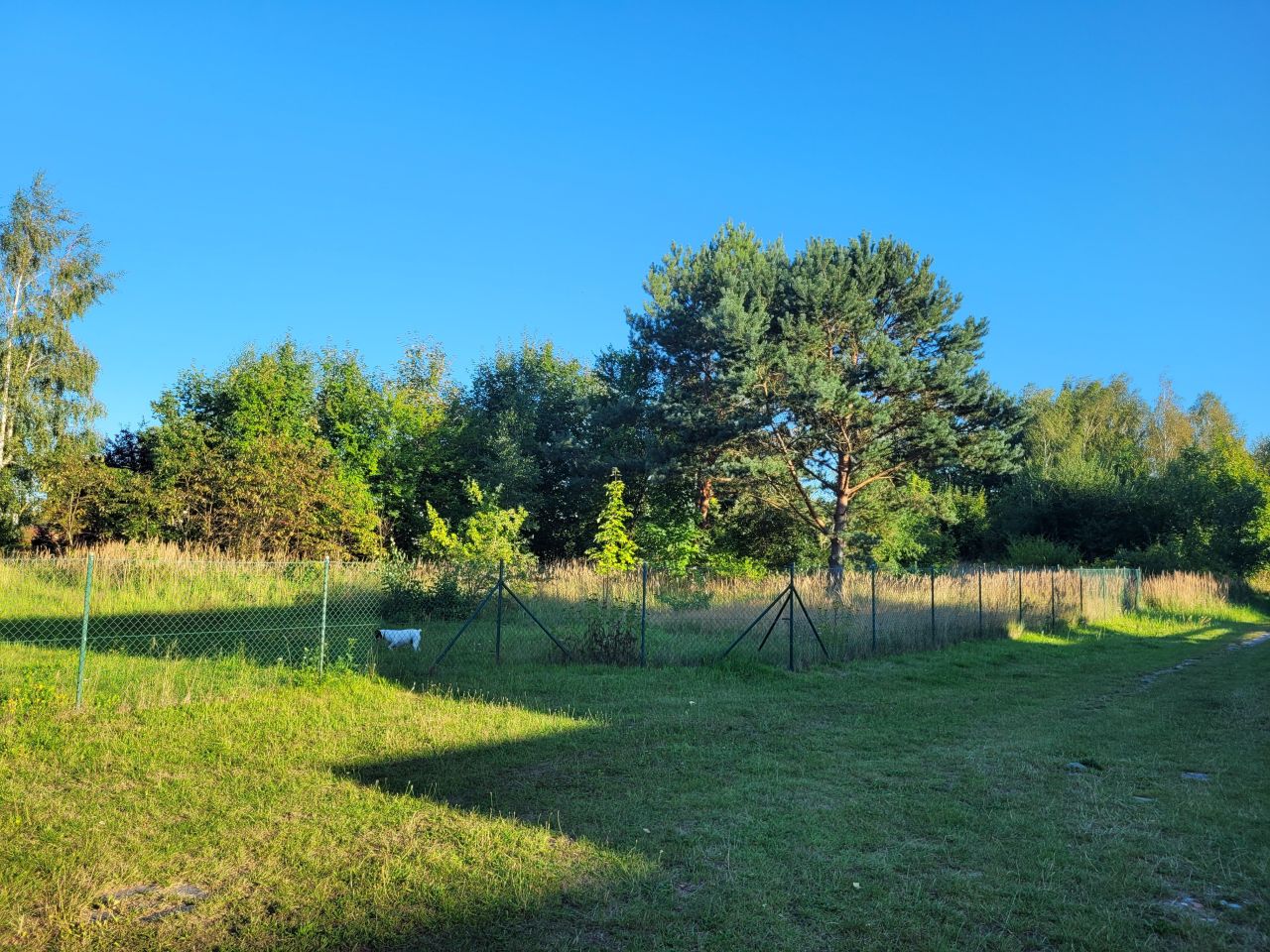Działka rolno-budowlana Wisełka, ul. Lipowa. Zdjęcie 2