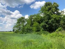 Działka budowlana Jędrzejów. Zdjęcie 3