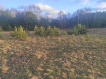 Działka budowlana Spore. Zdjęcie 1