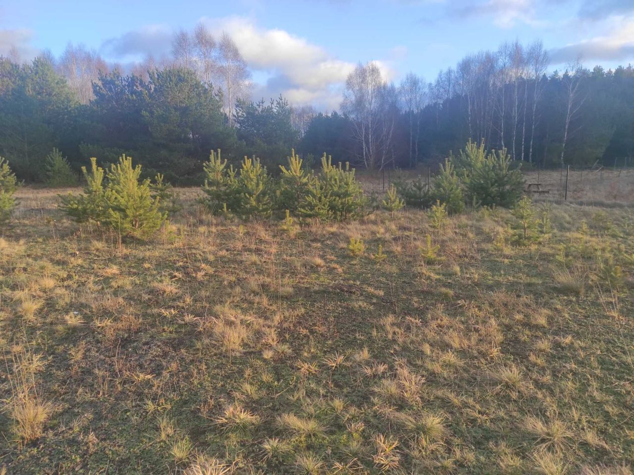 Działka budowlana Spore. Zdjęcie 2