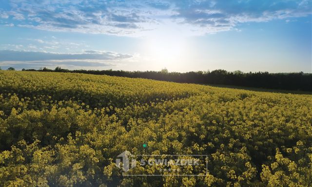 Działka budowlana Dziki. Zdjęcie 12