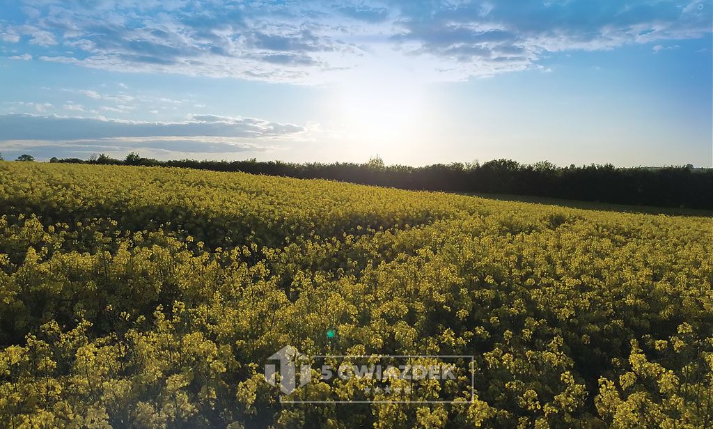 Działka budowlana Dziki. Zdjęcie 12