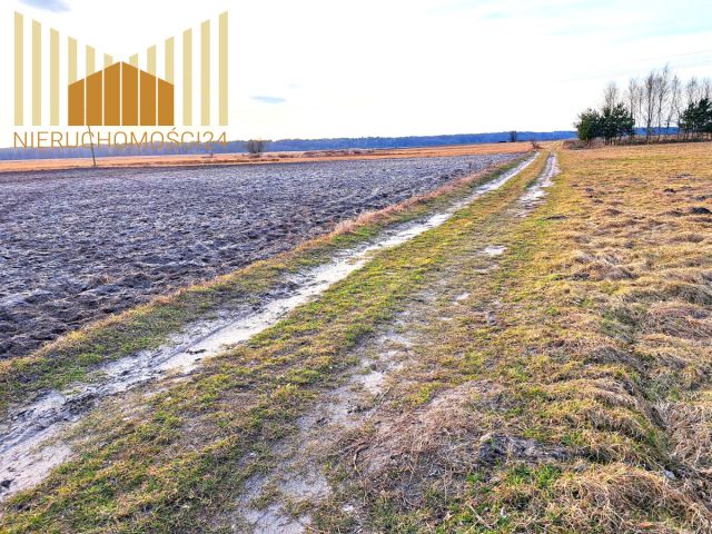 Działka siedliskowa Mrozy. Zdjęcie 4