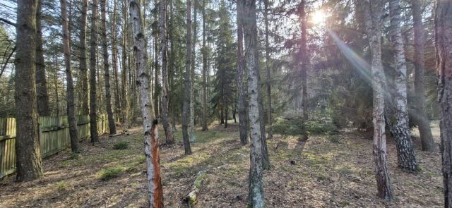 Działka rekreacyjna Malinówka. Zdjęcie 1