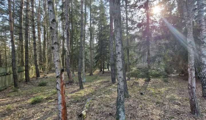 Działka rekreacyjna Malinówka