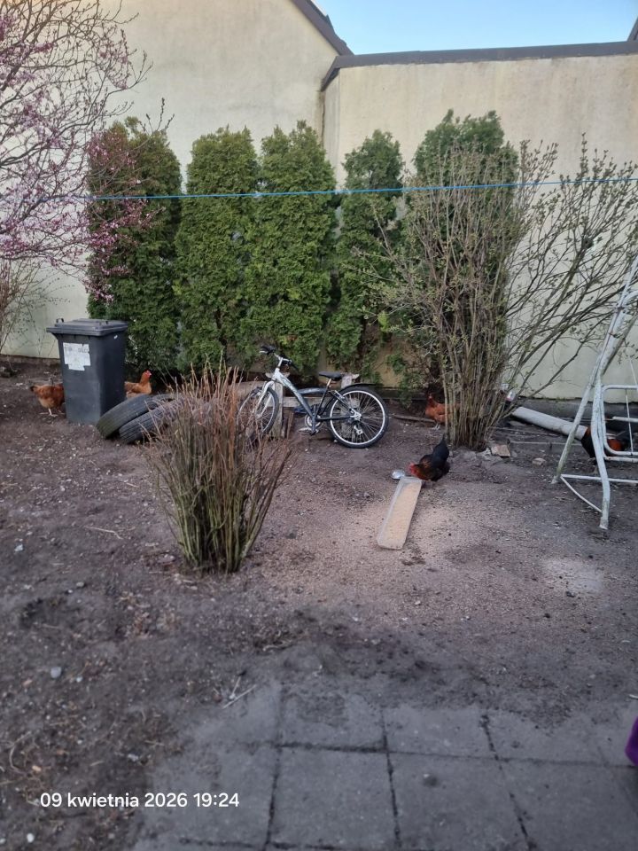 bliźniak, 5 pokoi Gościm, 28a. Zdjęcie 15