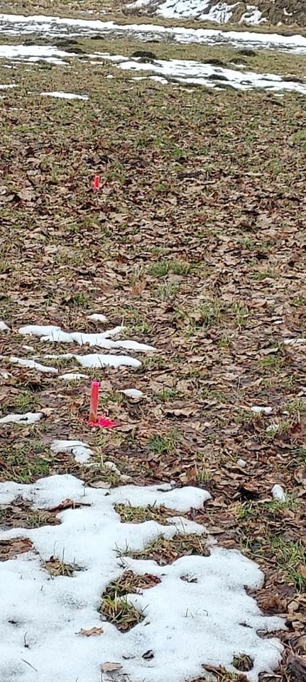 Działka rolno-budowlana Chorągwica. Zdjęcie 6