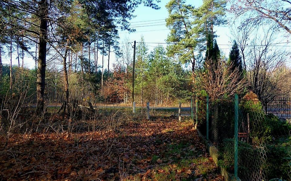 Działka rolno-budowlana Bytnica. Zdjęcie 4