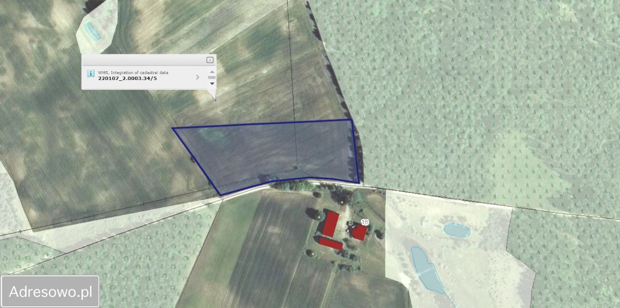 Działka budowlana Chośnica. Zdjęcie 2