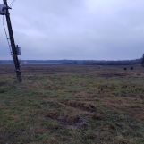 Działka siedliskowa Grabów Rycki. Zdjęcie 3