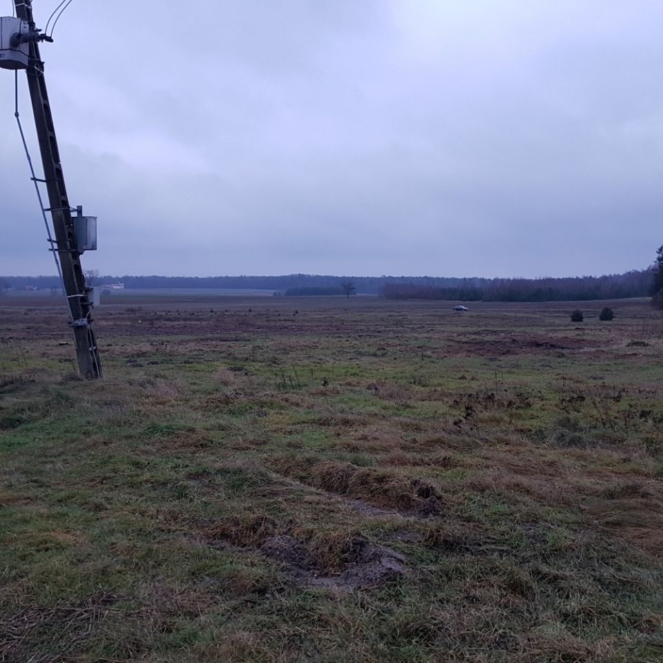 Działka siedliskowa Grabów Rycki. Zdjęcie 4