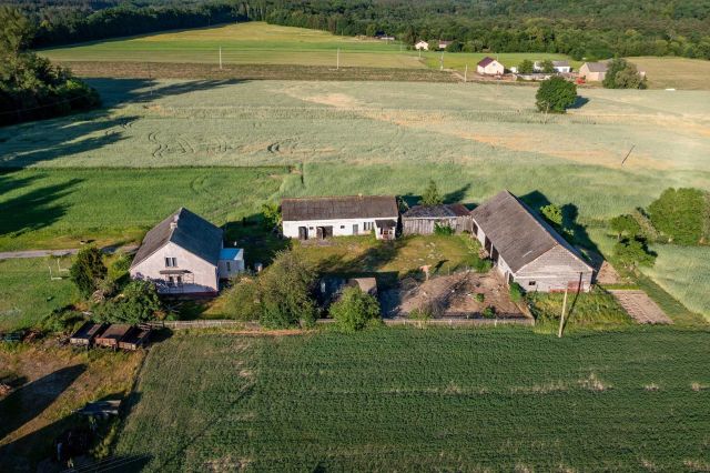 Działka rolna Robertowo. Zdjęcie 1