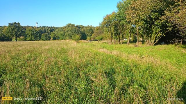 Działka budowlana Mikołów Borowa Wieś. Zdjęcie 1