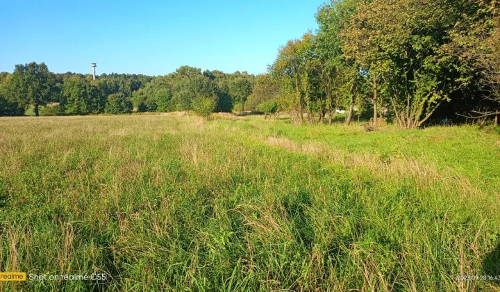 Działka budowlana Mikołów Borowa Wieś