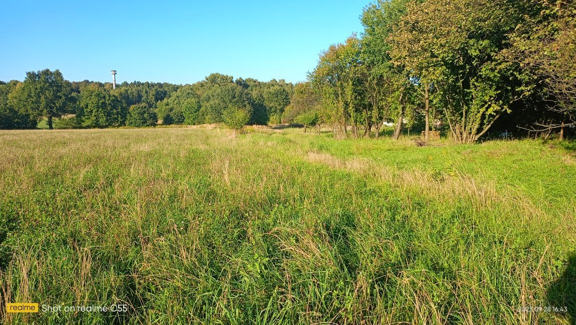 Działka budowlana Mikołów Borowa Wieś