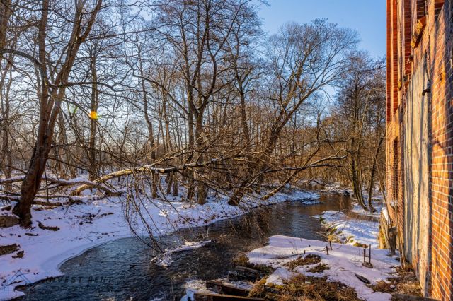 Działka rekreacyjna Tychowo. Zdjęcie 11