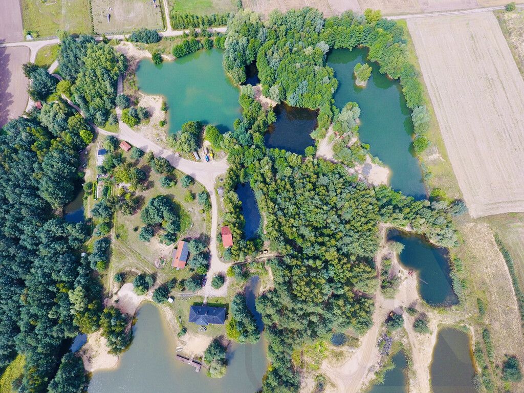 Działka rekreacyjna Osieczna. Zdjęcie 4