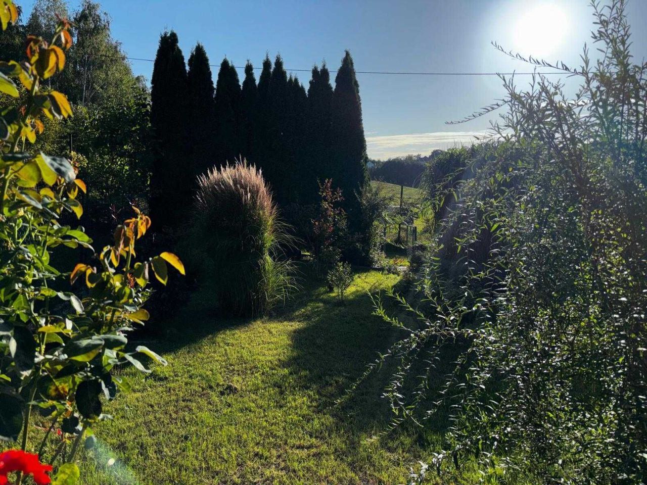 Działka rod Jastrzębie-Zdrój, ul. Olszowa. Zdjęcie 2