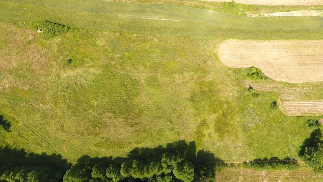 Działka rolna Nienadowa. Zdjęcie 4