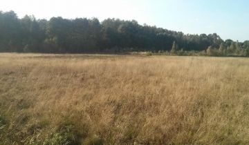 Działka rolna Brody, ul. Szkolna