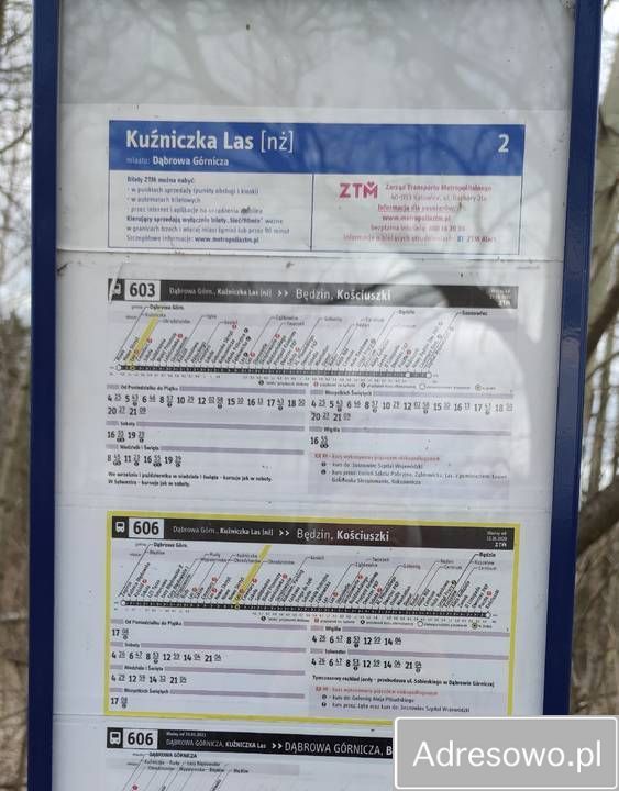 Działka leśna Dąbrowa Górnicza. Zdjęcie 9