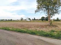 Działka rolno-budowlana Tryszczyn. Zdjęcie 1