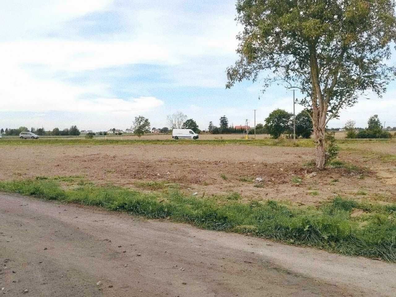 Działka rolno-budowlana Tryszczyn. Zdjęcie 2