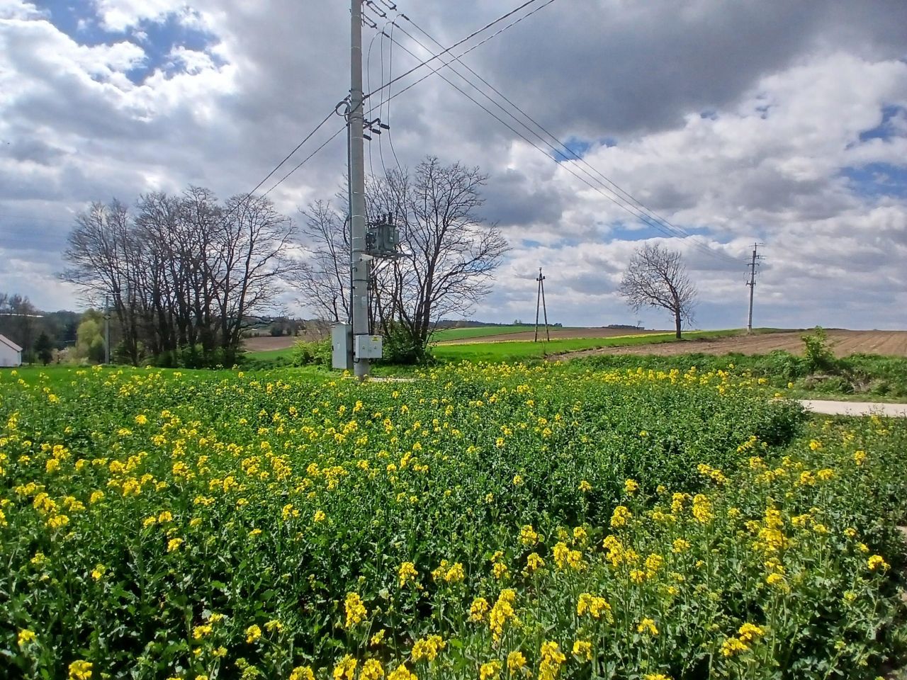 Działka rolno-budowlana Nagórzanki. Zdjęcie 3
