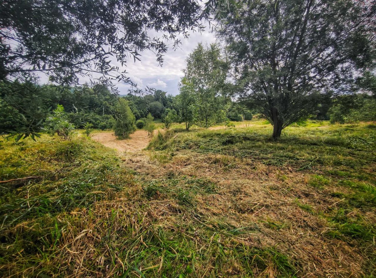 Działka budowlana Nawojowa Góra, ul. Marii Pałasińskiej. Zdjęcie 5