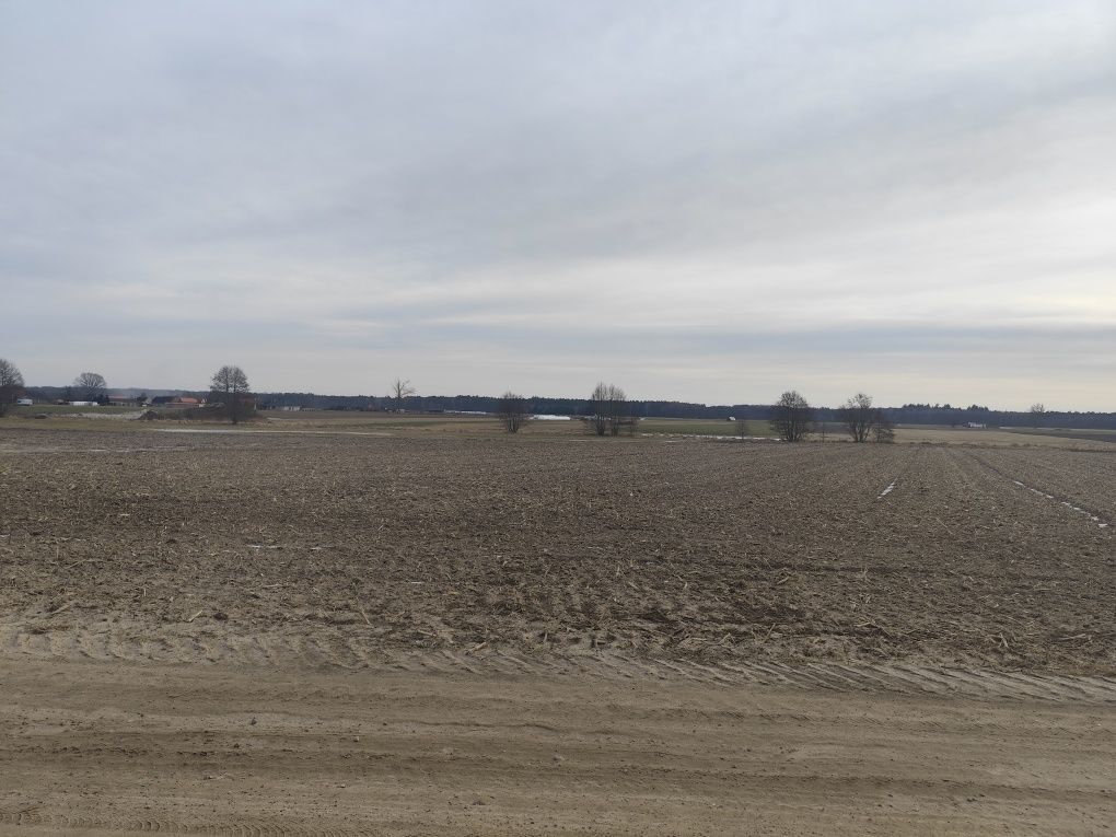 Działka rolna Boruszyn. Zdjęcie 6