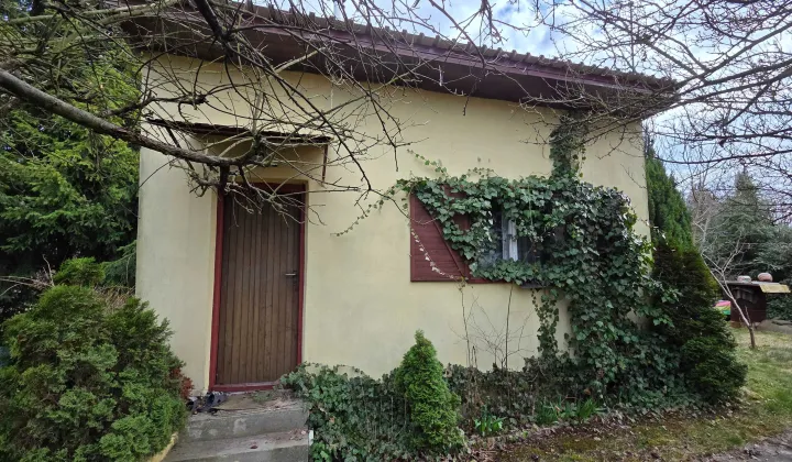 Działka rod Łaziska Górne, ul. Stokrotek