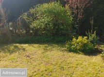 Działka rod Szczodrochowo. Zdjęcie 3