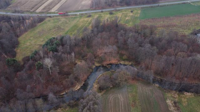 Działka rekreacyjna Oględów. Zdjęcie 5
