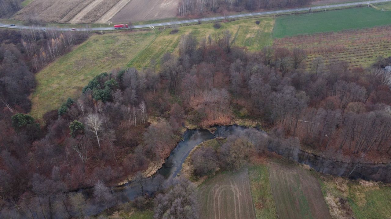 Działka rekreacyjna Oględów. Zdjęcie 5