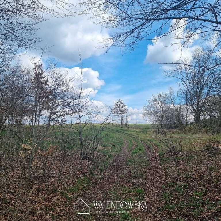 Działka siedliskowa Łabiszewo. Zdjęcie 7