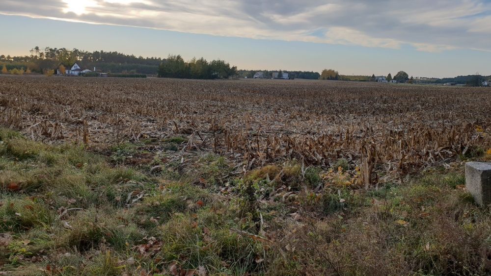 Działka budowlana Dobromierz. Zdjęcie 7