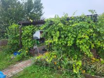 Działka rod Wysokie Mazowieckie. Zdjęcie 4