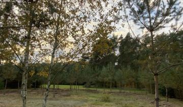 Działka budowlana Ludowinka