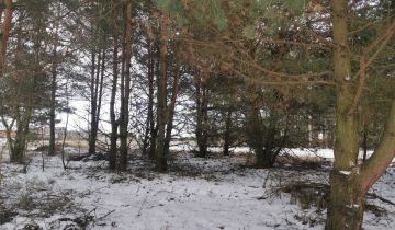 Działka leśna Nowy Jasieniec Iłżecki